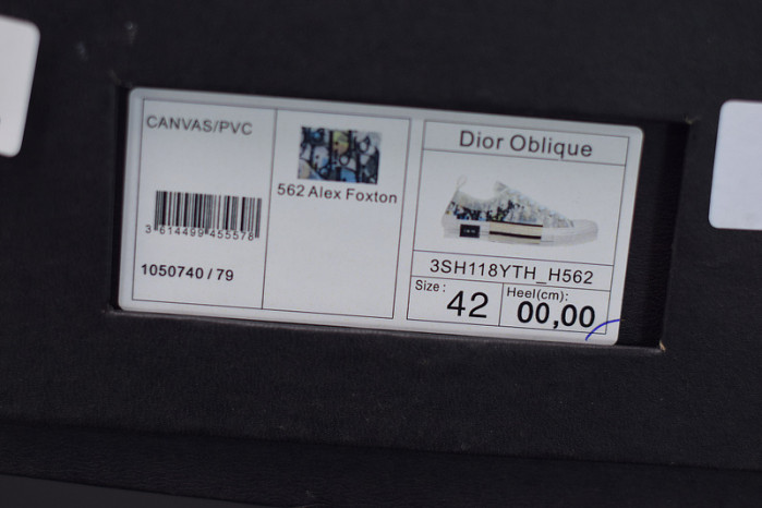 d10r b23 oblique low top sneaker