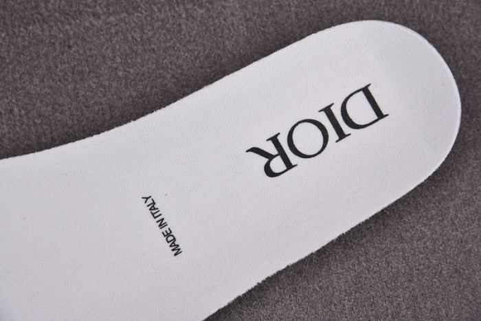 d10r b23 oblique low top sneaker