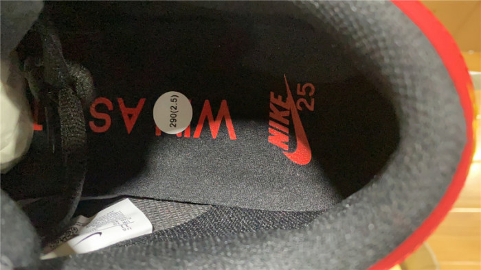 nike sb dunk low 25th years 309242-307