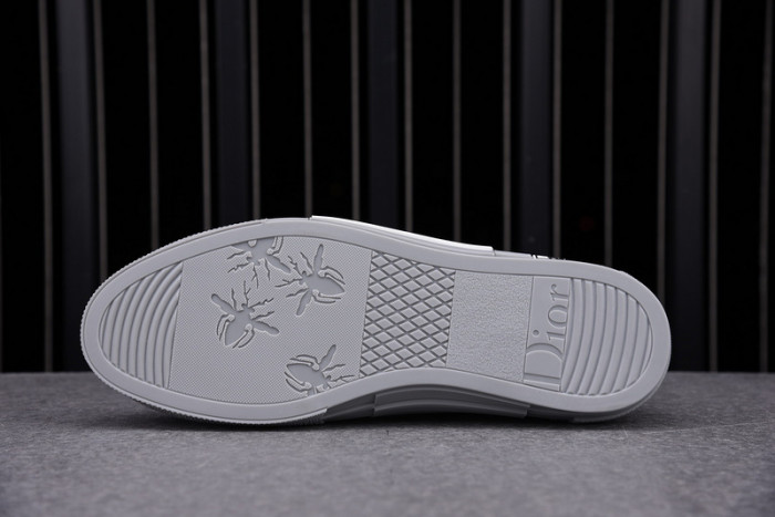 d10r b23 oblique low top sneaker