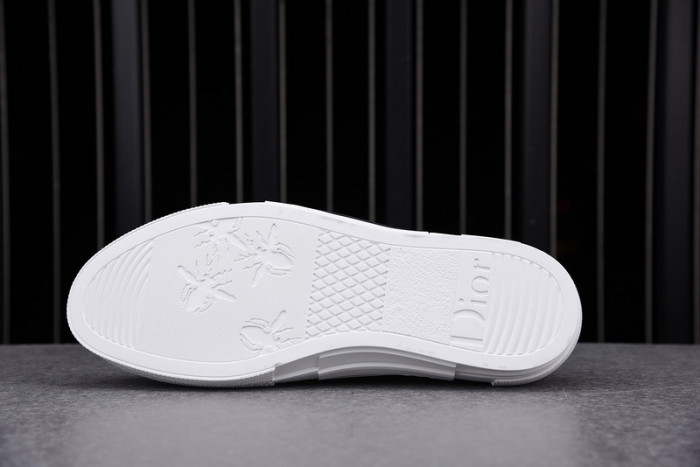 d10r b23 oblique low top sneaker