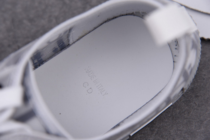 d10r b23 oblique low top sneaker