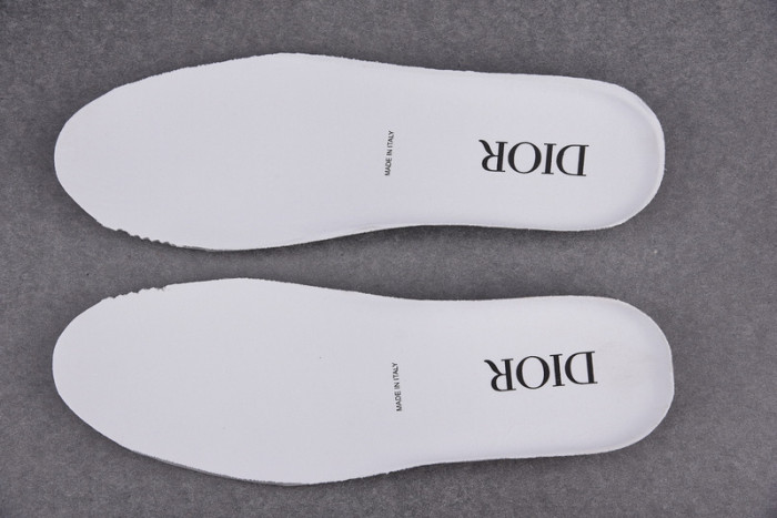 d10r b23 oblique low top sneaker