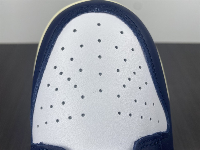 nike sb dunk low navy blue dd1503 115