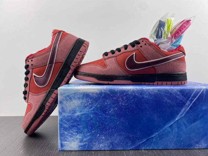ike sb dunk low concepts red lobster -313170-661