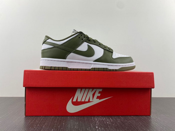 nike dunk low medium olive  - dd1503-120