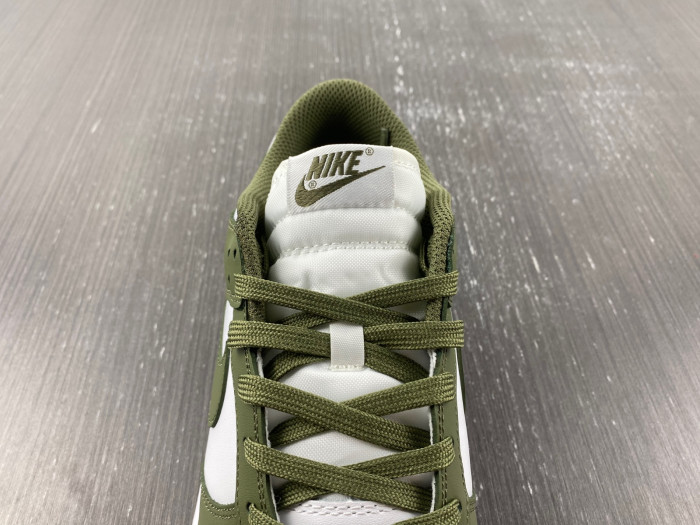 nike dunk low medium olive  - dd1503-120