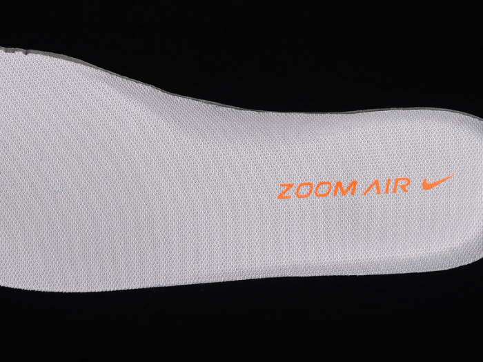 nike dunk sb emb 2006 311689-181