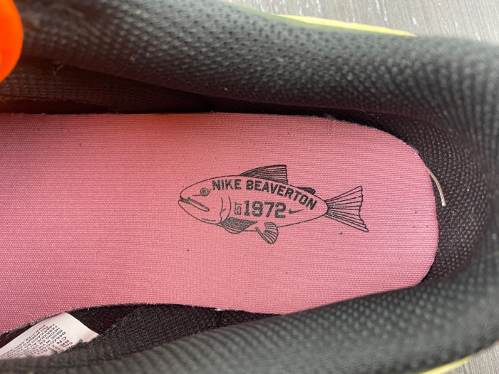 nike dunk low  fh7523 300