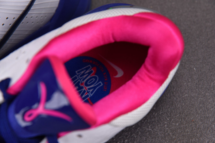 nike zoom kobe 5 protro 