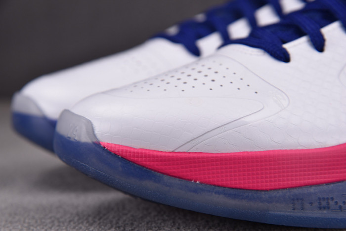 nike zoom kobe 5 protro 