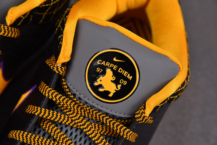 nk zoom kobe 4 protro“carpe diem”  av6339-001